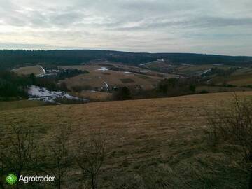 Фото номера Вилла Фермерские дома AgroTurystyka Piątkowa 33d - Green Velo - Międzynarodowy Szlak Rowerowy, Park Krajobrazowy, Klimat Bieszczady г. Дубецко 12