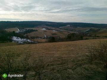 Фото номера Вилла Фермерские дома AgroTurystyka Piątkowa 33d - Green Velo - Międzynarodowy Szlak Rowerowy, Park Krajobrazowy, Klimat Bieszczady г. Дубецко 24